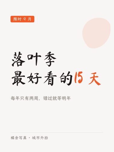 毛笔题字