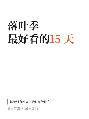 宋体引言