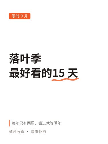 粗线强调